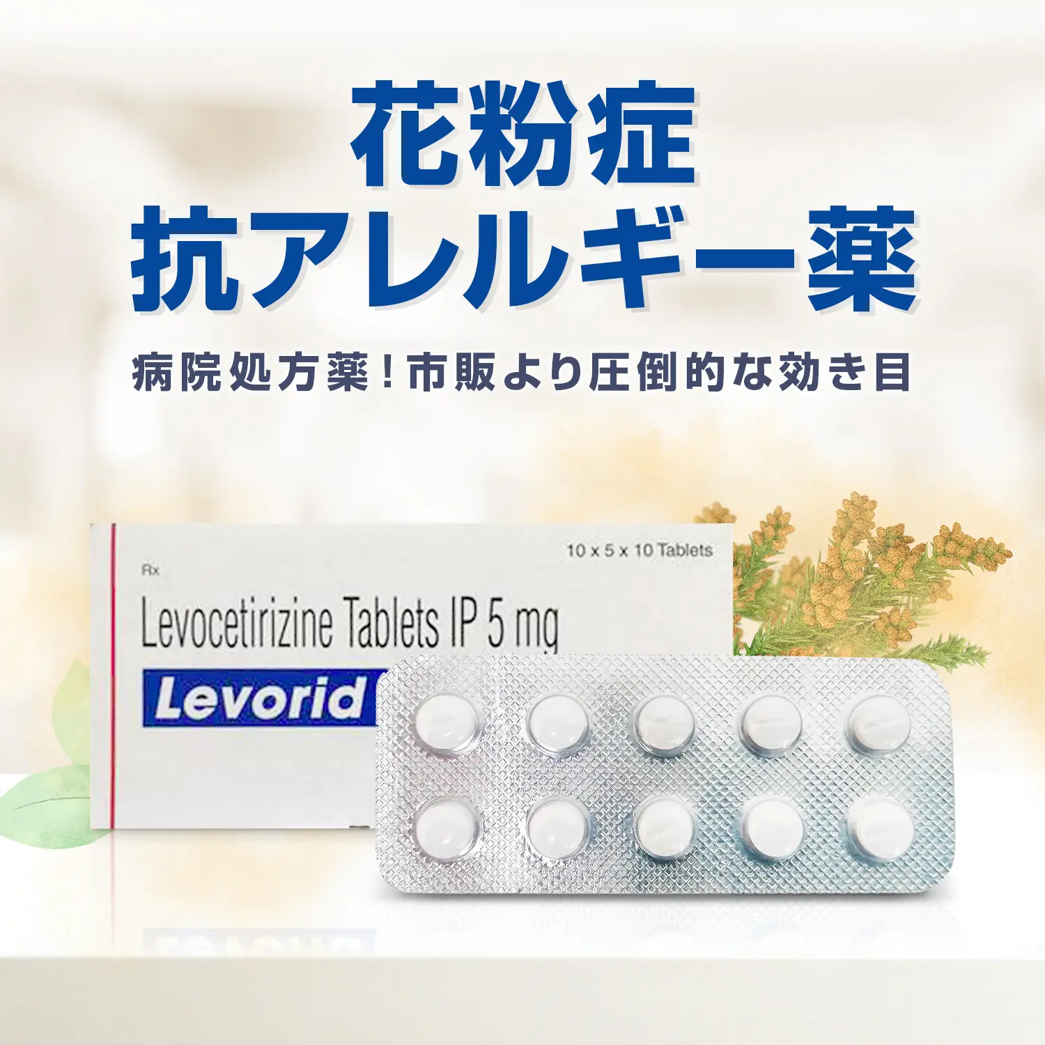 しびれ薬　初期　字レア　5枚　① 41A05unrdXL._AC_SY200_QL15_.jpg