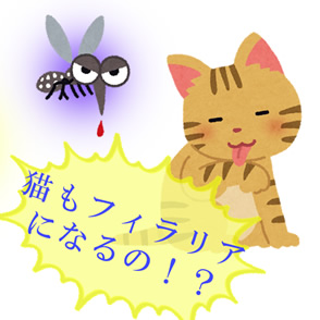 猫のフィラリア