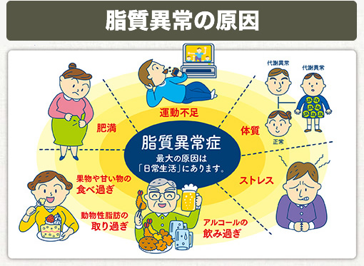 症 症状 異常 脂質