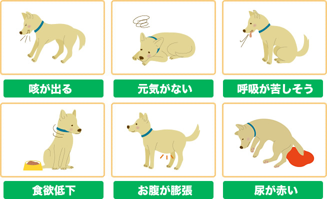 フィラリアは蚊が原因